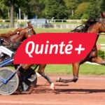 Pronostic PMU Quinté du vendredi 20 décembre à Paris-Vincennes : résultats et rapport des gains du jour.