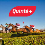 Pronostic PMU Quinté du mardi 17 décembre à Pau : résultats de la course du jour.