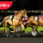 Quinté du samedi 28 décembre à Vincennes : résultats et rapport du Quinté du jour.