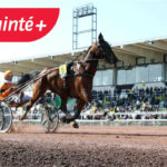 Quinté PMU : un parieur place 2 € sur un cheval sous-coté et encaisse plus de 247 000 € !